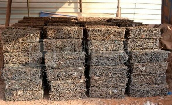 垃圾中轉(zhuǎn)站除味